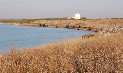 P.N.R. Isola di S.’Andrea Litorale di Punta Pizzo
