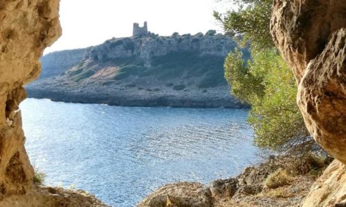 P.N.R. Porto Selvaggio e Palude del Capitano